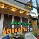 레몬트리 호텔(Lemon Tree Hotel) | 베트남 호이안 마사지 추천 레몬트리스파 Lemon Tree Spa 픽업, 가격 및 후기