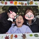일성어린이집 네이버블로그