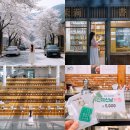 이평12리 마을회관 앞 | 인제 가볼만한곳 1박2일 여행코스 벚꽃로드 봄 여행 맛집 카페 등