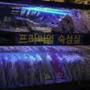 윤봉근생돼지고기