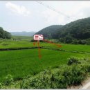 금주초교 이미지