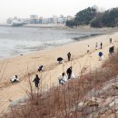 골든코스트 이미지