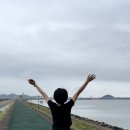 영암닭집