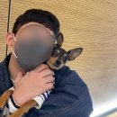 조이힐펜션 이미지