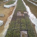 창암농장 이미지