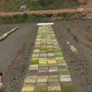 논일농장 이미지