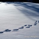 하얀세상 이미지