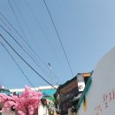 동피랑나들이/동피랑/통영여행 /통영동피랑/동피랑벽화/동피랑방문기/까꾸막카페/빠담빠담점빵