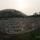 해뜨는바다펜션민박 이미지