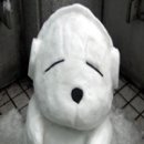 노*확