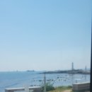 봄CAFE
