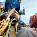 삼겹살 좋은데이(Day) 이미지