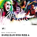 11545-03-33-25 | 유니버셜 스튜디오 재팬 어트렉션 후기 익스프레스 선택 꿀팁