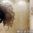 해뜨는숲 네이버블로그