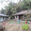 신안동8 이미지