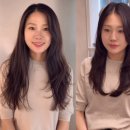 순자 뉴스엔