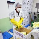 농부의꿈영농조합법인 이미지