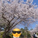 평택호길 이미지