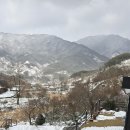 신촌지락 이미지