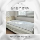 전자파 없는 셀리온 카본매트 싱글 내돈내산 후기