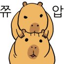 우솔뷰티