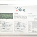 강릉떡집 - 춘천시 동부시장길 8 | 강릉떡집