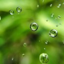 100세건강약국 이미지