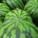 고창상회 이미지