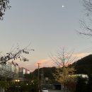 오소케이크 이미지