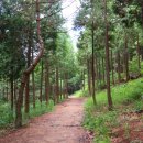 편백인 울산 이미지