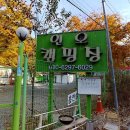 황정민글램핑 이미지