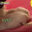 상귀농장 이미지