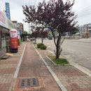 다사랑이비인후과의원 이미지