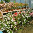 수광농장 이미지