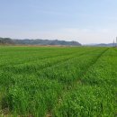 서천군농업기술센터 이미지