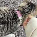 지에스(GS)25 여수이순신점 이미지