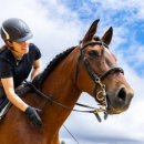 백마정비 이미지