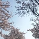 울진행~ 그 애환의 길에서... 이미지
