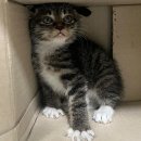 새동인약국 이미지