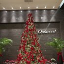 미각뷔페 | [인천/송도] 오크우드 프리미어 오크레스토랑 디너 뷔페 후기