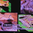 자연대로4 이미지