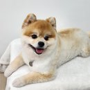 봉구냠냠 네이버블로그