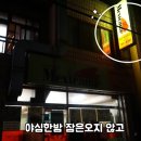 하대동172 | [진주 하대동 치킨]멕시카나 땡초치킨 후기 / 멕시카나 메뉴랑 가격정보