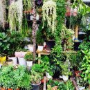 세연이네꽃방