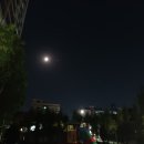 강호 특공무술 이미지