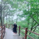 스베트카페