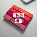 지속력좋은 벨벳틴트 블랑디바 비블러리 쿨톤 립 추천