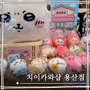 마코스포츠 | 치이카와샵 아이파크몰 용산점 오픈 첫날 사전예약 입장 후기