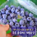 루루농장 이미지