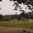 미로초등학교 이미지